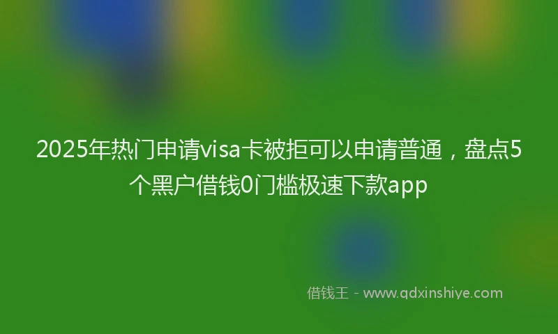 2025年热门申请visa卡被拒可以申请普通，盘点5个黑户借钱0门槛极速下款app
