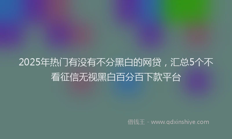 2025年热门有没有不分黑白的网贷，汇总5个不看征信无视黑白百分百下款平台