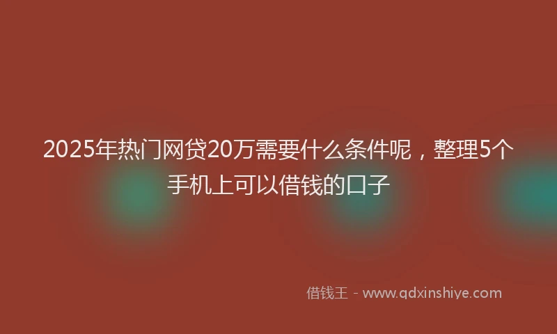 2025年热门网贷20万需要什么条件呢，整理5个手机上可以借钱的口子