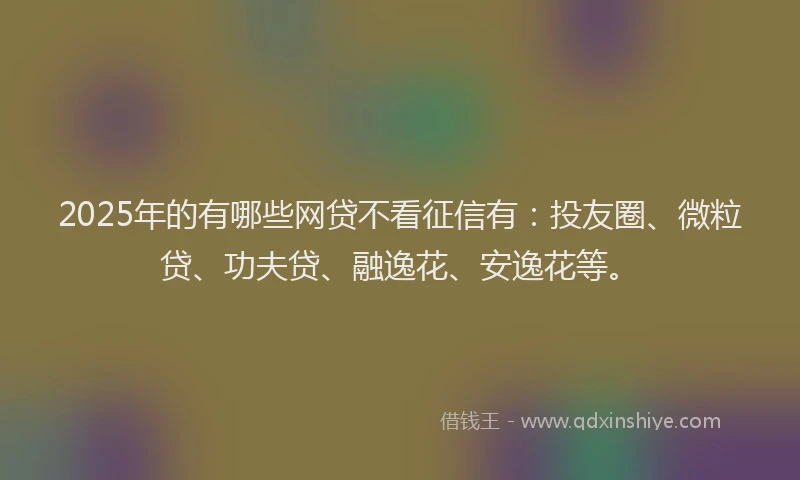 2025年的有哪些网贷不看征信有：投友圈、微粒贷、功夫贷、融逸花、安逸花等。