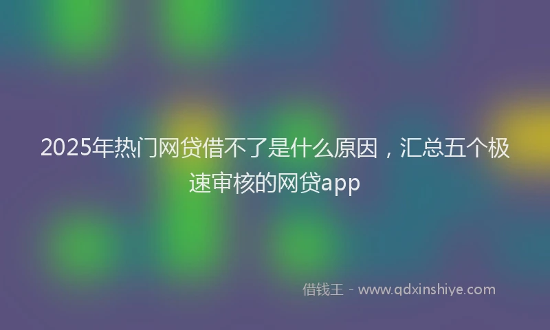 2025年热门网贷借不了是什么原因，汇总五个极速审核的网贷app