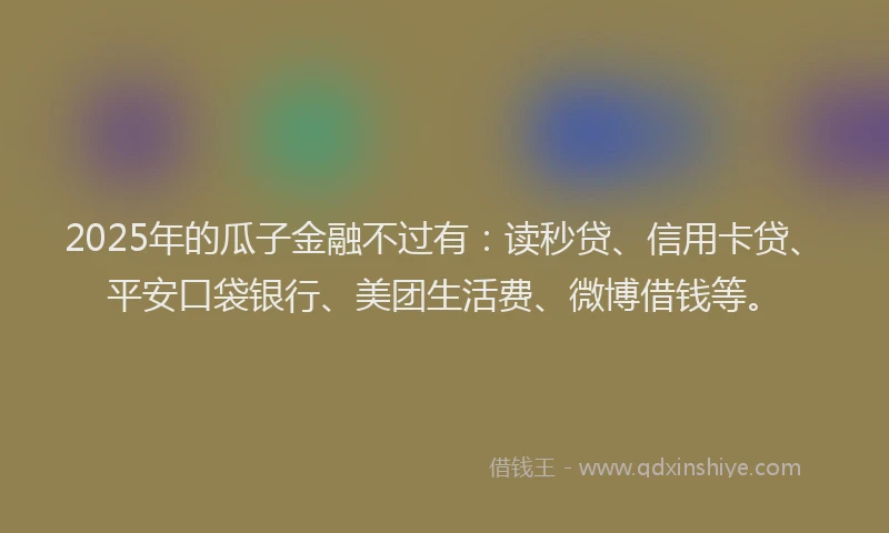 2025年的瓜子金融不过有：读秒贷、信用卡贷、平安口袋银行、美团生活费、微博借钱等。