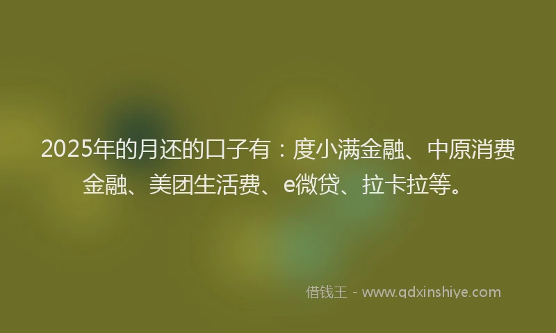 2025年的月还的口子有：度小满金融、中原消费金融、美团生活费、e微贷、拉卡拉等。