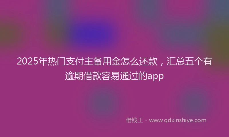 2025年热门支付主备用金怎么还款，汇总五个有逾期借款容易通过的app