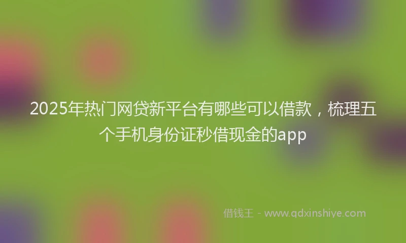 2025年热门网贷新平台有哪些可以借款，梳理五个手机身份证秒借现金的app