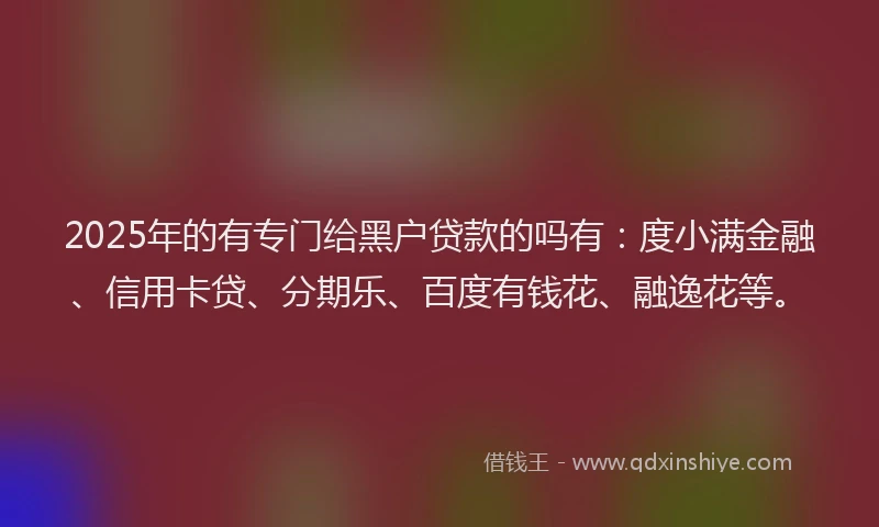 2025年的有专门给黑户贷款的吗有：度小满金融、信用卡贷、分期乐、百度有钱花、融逸花等。