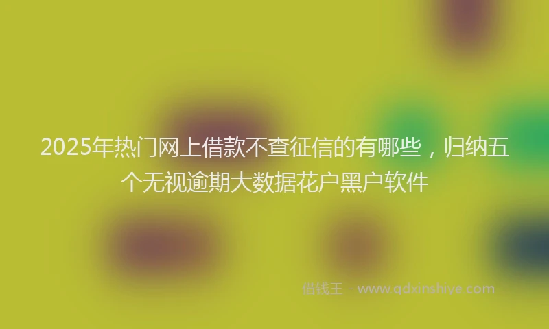 2025年热门网上借款不查征信的有哪些，归纳五个无视逾期大数据花户黑户软件