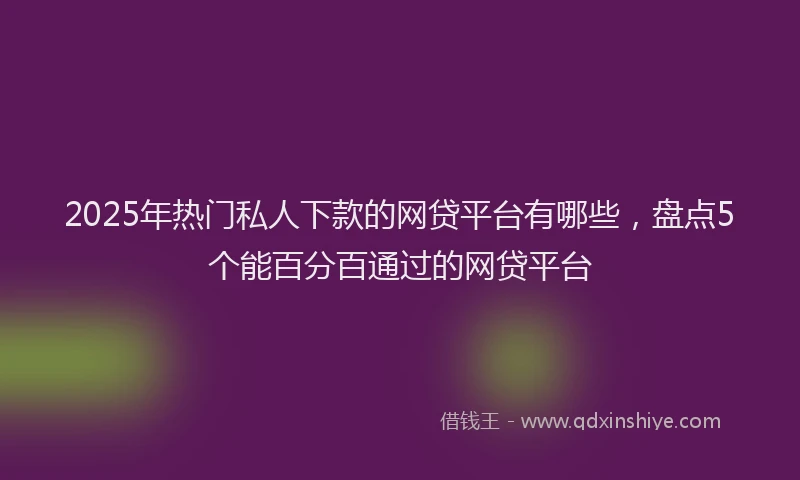 2025年热门私人下款的网贷平台有哪些，盘点5个能百分百通过的网贷平台