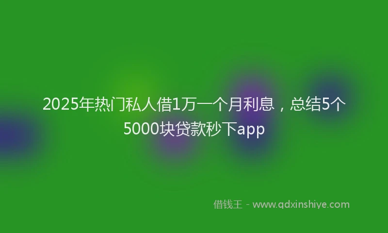 2025年热门私人借1万一个月利息，总结5个5000块贷款秒下app