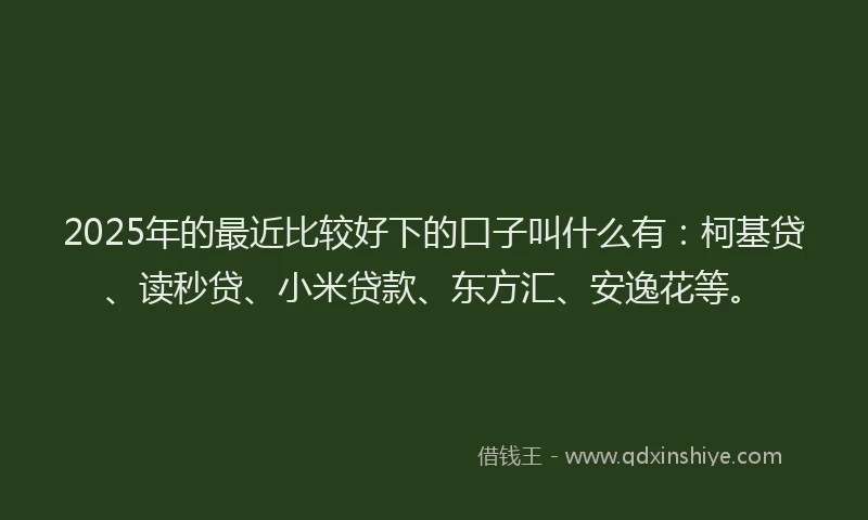 2025年的最近比较好下的口子叫什么有：柯基贷、读秒贷、小米贷款、东方汇、安逸花等。