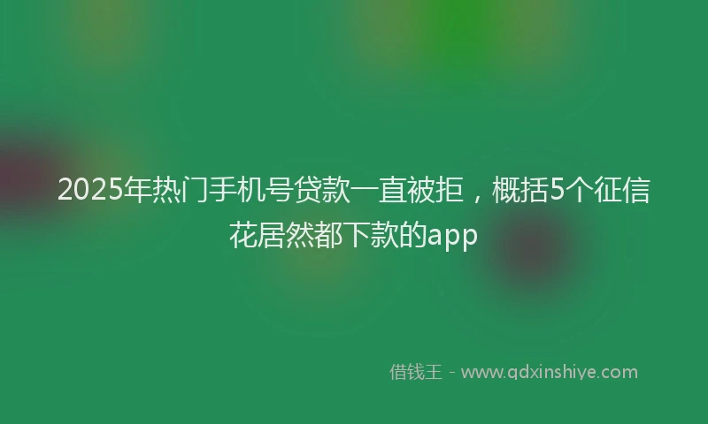 2025年热门手机号贷款一直被拒，概括5个征信花居然都下款的app