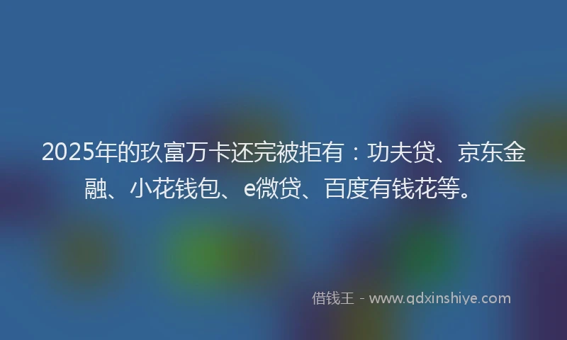 2025年的玖富万卡还完被拒有：功夫贷、京东金融、小花钱包、e微贷、百度有钱花等。