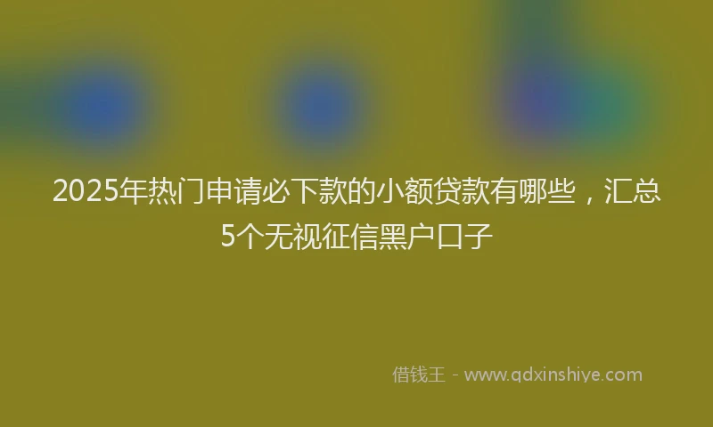 2025年热门申请必下款的小额贷款有哪些，汇总5个无视征信黑户口子