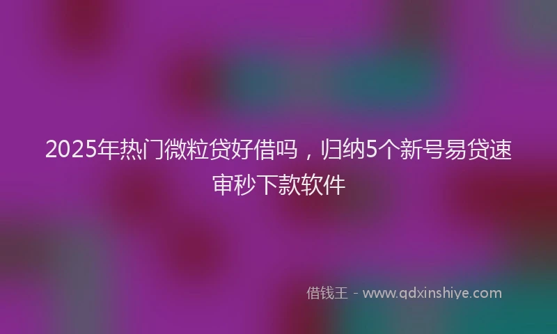 2025年热门微粒贷好借吗，归纳5个新号易贷速审秒下款软件