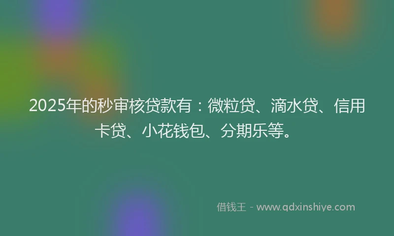 2025年的秒审核贷款有：微粒贷、滴水贷、信用卡贷、小花钱包、分期乐等。