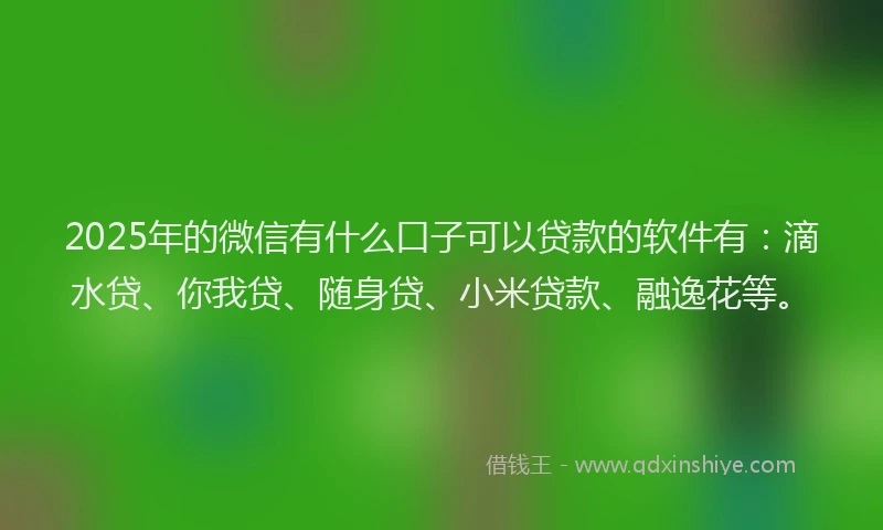 2025年的微信有什么口子可以贷款的软件有：滴水贷、你我贷、随身贷、小米贷款、融逸花等。