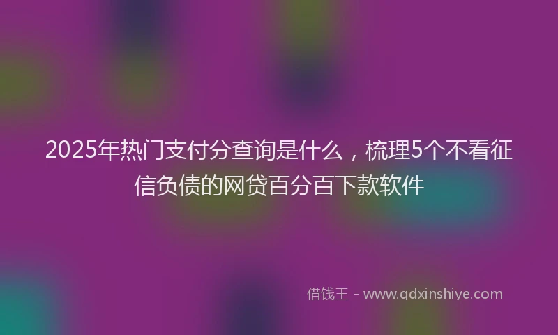 2025年热门支付分查询是什么，梳理5个不看征信负债的网贷百分百下款软件