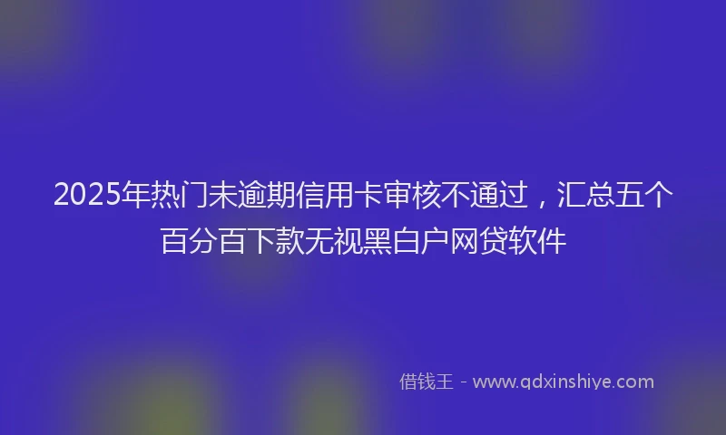 2025年热门未逾期信用卡审核不通过，汇总五个百分百下款无视黑白户网贷软件