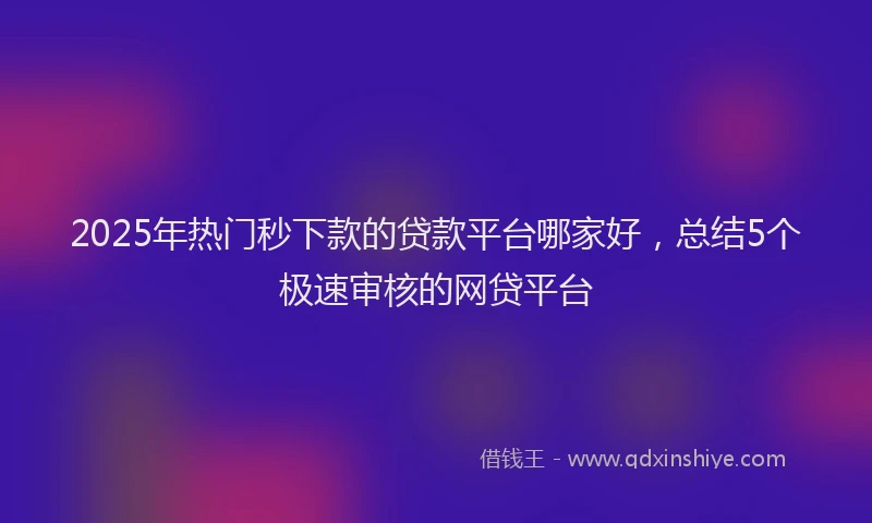 2025年热门秒下款的贷款平台哪家好，总结5个极速审核的网贷平台