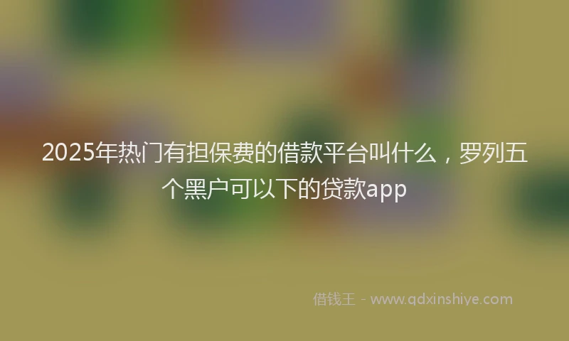 2025年热门有担保费的借款平台叫什么，罗列五个黑户可以下的贷款app