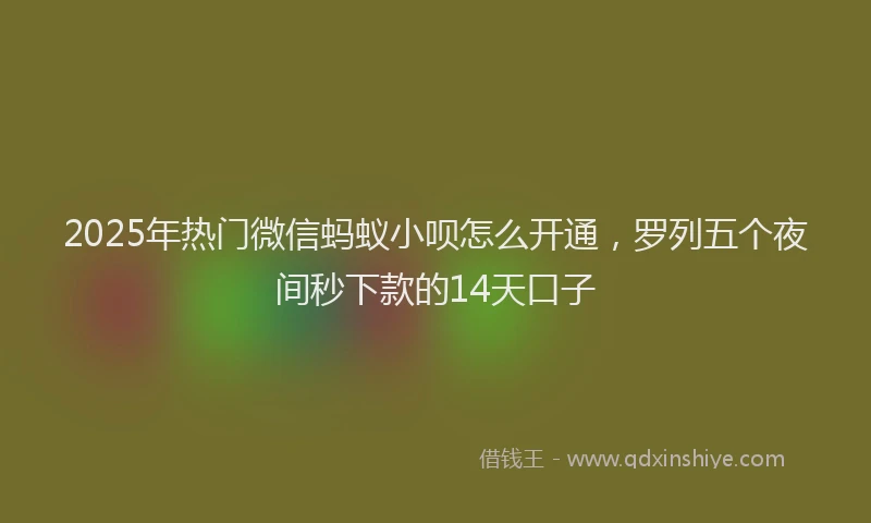 2025年热门微信蚂蚁小呗怎么开通，罗列五个夜间秒下款的14天口子