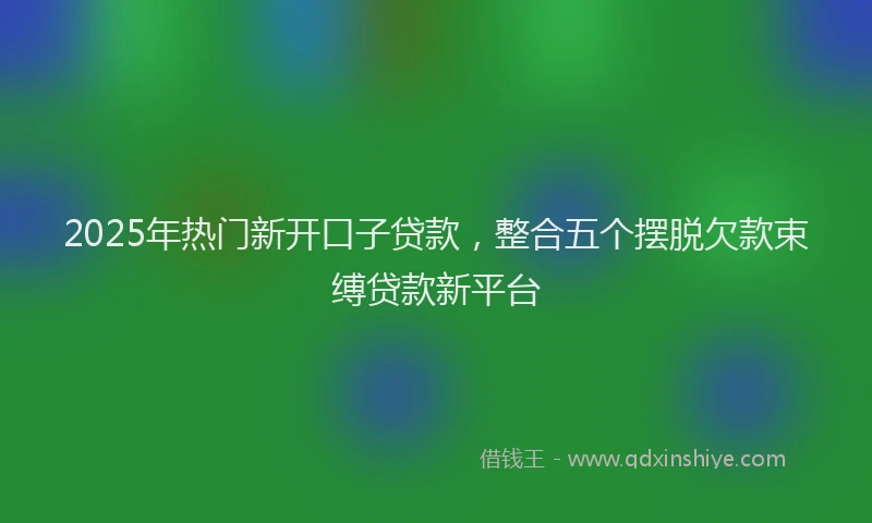 2025年热门新开口子贷款，整合五个摆脱欠款束缚贷款新平台