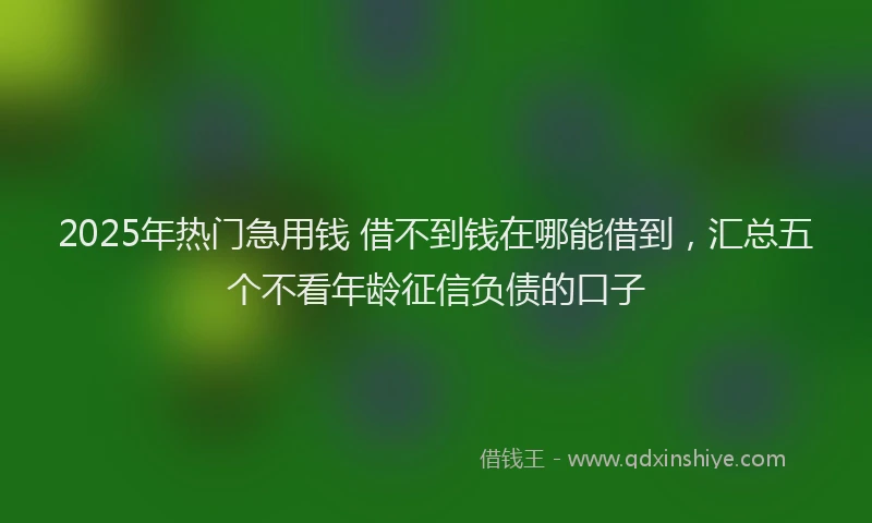 2025年热门急用钱 借不到钱在哪能借到，汇总五个不看年龄征信负债的口子