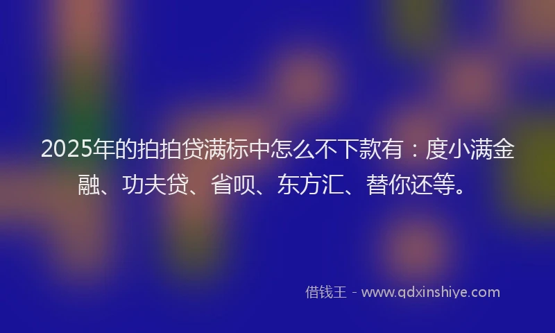 2025年的拍拍贷满标中怎么不下款有：度小满金融、功夫贷、省呗、东方汇、替你还等。