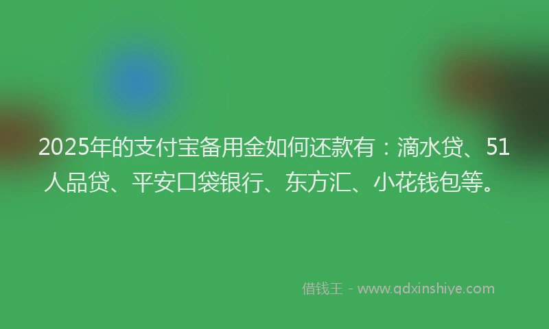 2025年的支付宝备用金如何还款有：滴水贷、51人品贷、平安口袋银行、东方汇、小花钱包等。