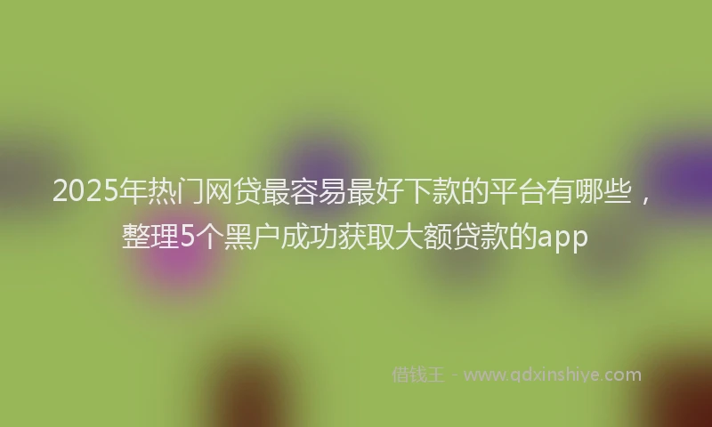 2025年热门网贷最容易最好下款的平台有哪些，整理5个黑户成功获取大额贷款的app