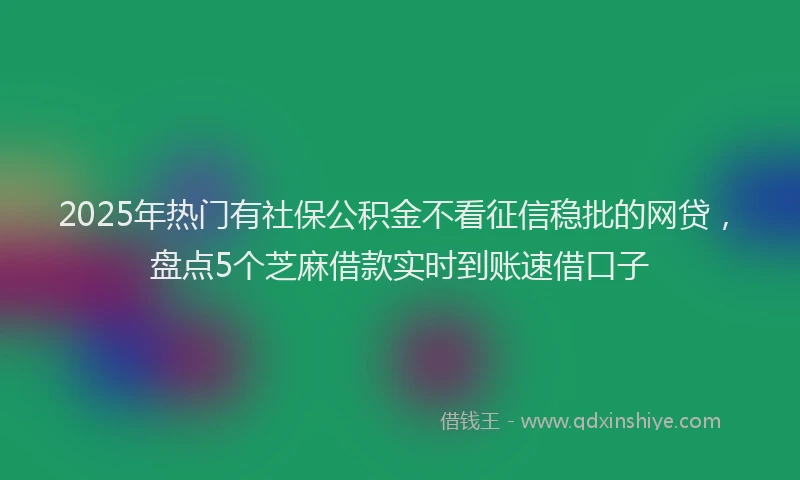 2025年热门有社保公积金不看征信稳批的网贷，盘点5个芝麻借款实时到账速借口子