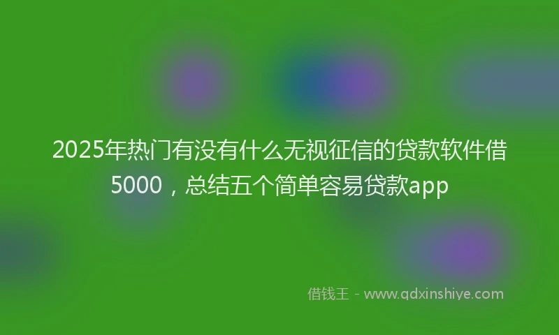 2025年热门有没有什么无视征信的贷款软件借5000，总结五个简单容易贷款app
