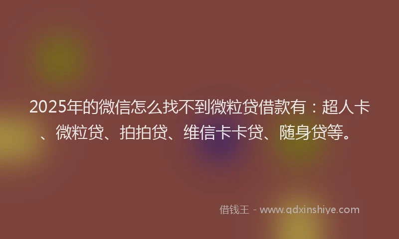 2025年的微信怎么找不到微粒贷借款有：超人卡、微粒贷、拍拍贷、维信卡卡贷、随身贷等。