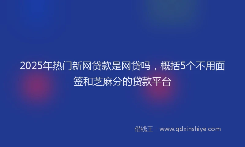 2025年热门新网贷款是网贷吗，概括5个不用面签和芝麻分的贷款平台