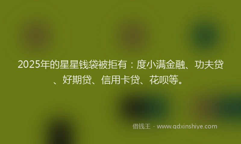 2025年的星星钱袋被拒有：度小满金融、功夫贷、好期贷、信用卡贷、花呗等。