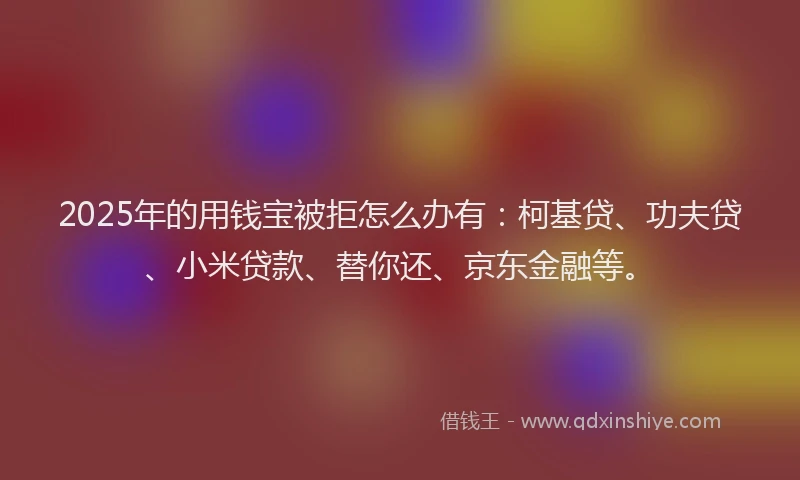 2025年的用钱宝被拒怎么办有：柯基贷、功夫贷、小米贷款、替你还、京东金融等。