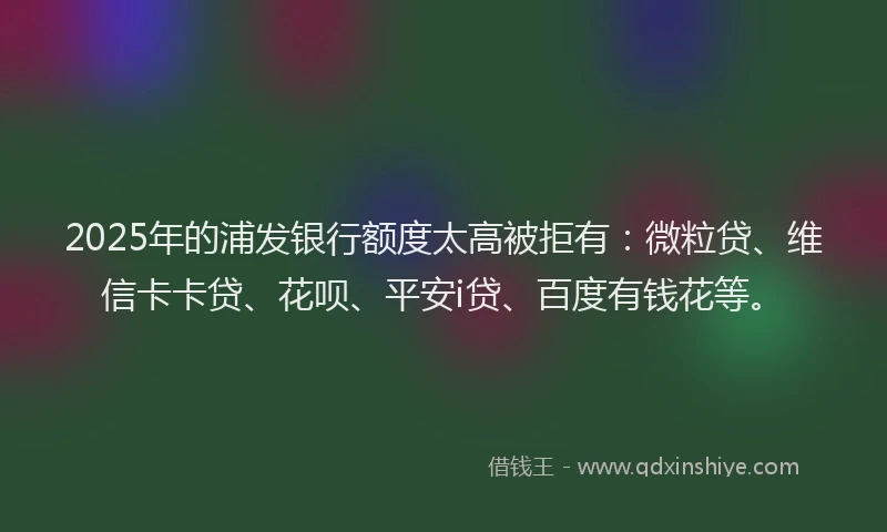 2025年的浦发银行额度太高被拒有：微粒贷、维信卡卡贷、花呗、平安i贷、百度有钱花等。