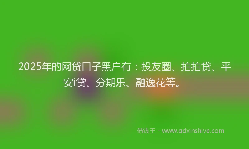 2025年的网贷口子黑户有：投友圈、拍拍贷、平安i贷、分期乐、融逸花等。