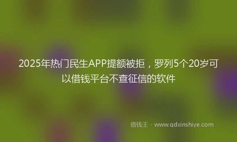 2025年热门民生APP提额被拒，罗列5个20岁可以借钱平台不查征信的软件