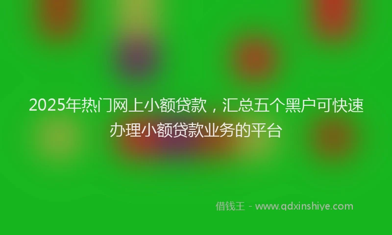 2025年热门网上小额贷款，汇总五个黑户可快速办理小额贷款业务的平台