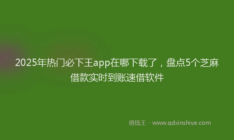 2025年热门必下王app在哪下载了，盘点5个芝麻借款实时到账速借软件