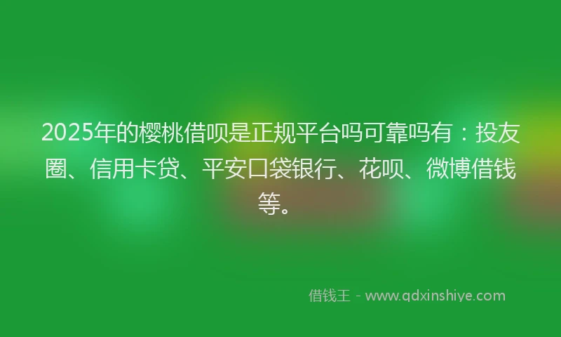 2025年的樱桃借呗是正规平台吗可靠吗有：投友圈、信用卡贷、平安口袋银行、花呗、微博借钱等。
