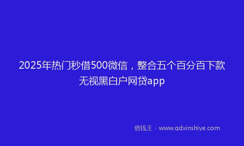 2025年热门秒借500微信，整合五个百分百下款无视黑白户网贷app