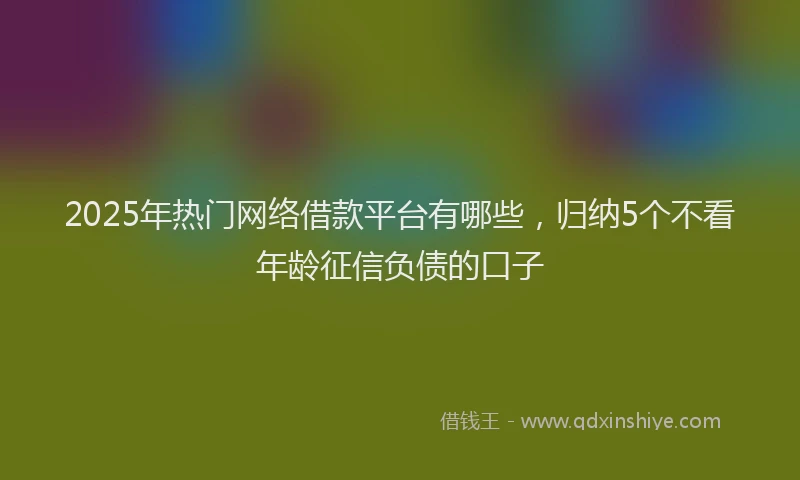 2025年热门网络借款平台有哪些，归纳5个不看年龄征信负债的口子