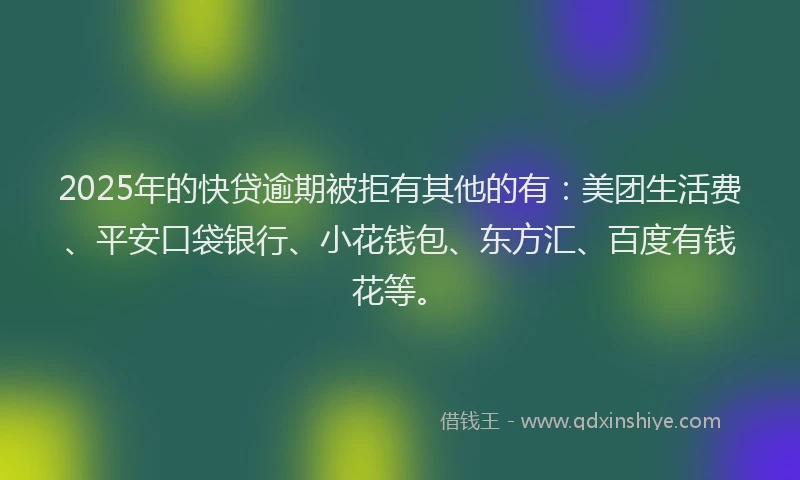 2025年的快贷逾期被拒有其他的有：美团生活费、平安口袋银行、小花钱包、东方汇、百度有钱花等。