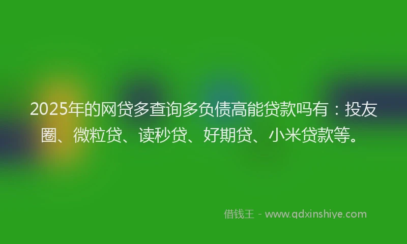 2025年的网贷多查询多负债高能贷款吗有：投友圈、微粒贷、读秒贷、好期贷、小米贷款等。