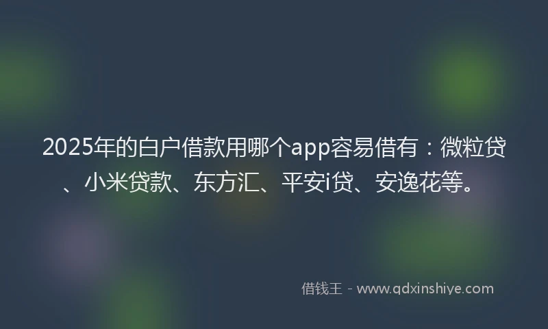 2025年的白户借款用哪个app容易借有：微粒贷、小米贷款、东方汇、平安i贷、安逸花等。
