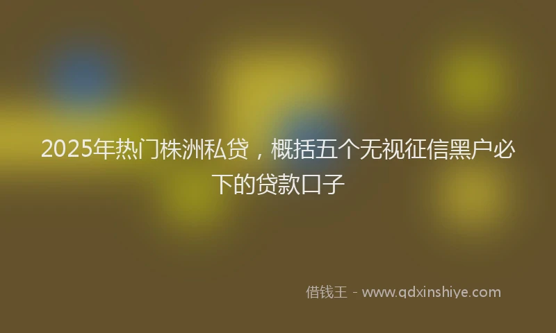 2025年热门株洲私贷，概括五个无视征信黑户必下的贷款口子