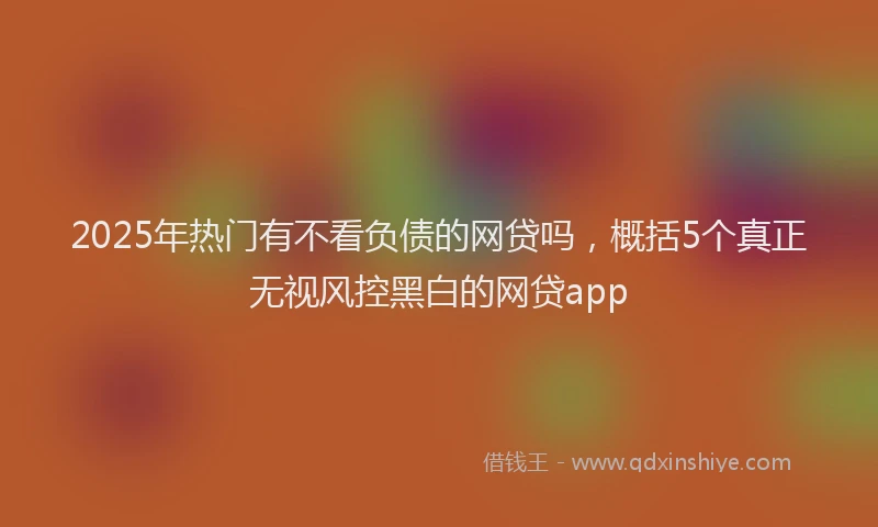 2025年热门有不看负债的网贷吗，概括5个真正无视风控黑白的网贷app