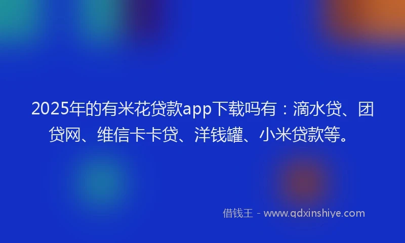 2025年的有米花贷款app下载吗有：滴水贷、团贷网、维信卡卡贷、洋钱罐、小米贷款等。